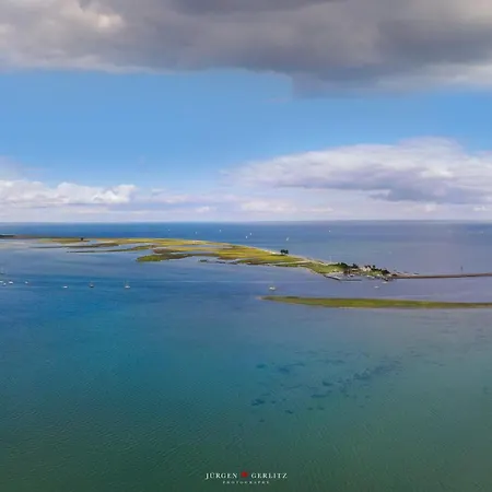 Апартаменты Albatros *
